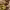 https://res.cloudinary.com/billionhands/image/upload/v1771502060/items/xsnxfouig799lbti0ciu.webp-0cover