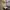 https://res.cloudinary.com/billionhands/image/upload/v1771502075/items/jfwcyonzimbhoomeim1p.jpg-2cover