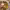 https://res.cloudinary.com/billionhands/image/upload/v1771502078/items/jioa2m3hlua1qu172tkz.jpg-3cover