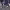 https://res.cloudinary.com/billionhands/image/upload/v1771507039/items/gjgdinniennvbz0qonhf.jpg-0cover