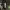 https://res.cloudinary.com/billionhands/image/upload/v1771507099/items/xmnuplwkspzrbkp0qmdy.jpg-2cover
