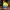 https://res.cloudinary.com/billionhands/image/upload/v1771507114/items/g73kqd5eql3do5pohztl.jpg-1cover