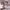 https://res.cloudinary.com/billionhands/image/upload/v1771507119/items/j84bvvkdtqhexrmad5cf.jpg-1cover