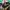https://res.cloudinary.com/billionhands/image/upload/v1771507132/items/ebjcboldtjvelo6dlkj9.webp-0cover