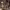 https://res.cloudinary.com/billionhands/image/upload/v1771507138/items/rhh6a27zthuai37xtqxo.jpg-2cover