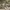 https://res.cloudinary.com/billionhands/image/upload/v1771507142/items/lpxtjxhxz5htrh06xh6c.png-1cover