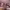https://res.cloudinary.com/billionhands/image/upload/v1771507433/items/bnjyevxdvblvykltfshg.jpg-0cover
