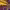 https://res.cloudinary.com/billionhands/image/upload/v1771507439/items/b3arupsug1igynbkfjfg.jpg-1cover