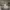 https://res.cloudinary.com/billionhands/image/upload/v1771507450/items/tz5qu1ptcjedkguw4jqs.jpg-0cover