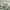 https://res.cloudinary.com/billionhands/image/upload/v1771507453/items/zlgrigkvzwo0p3gws1ij.avif-3cover