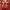 https://res.cloudinary.com/billionhands/image/upload/v1771507455/items/z1xp9eltacn9oxbku4ve.jpg-0cover