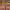 https://res.cloudinary.com/billionhands/image/upload/v1771507466/items/evgtqznrqdxlu070pinq.jpg-3cover