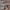 https://res.cloudinary.com/billionhands/image/upload/v1771507482/items/p4zfb381hcns89wjjjo6.jpg-0cover
