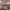 https://res.cloudinary.com/billionhands/image/upload/v1771507490/items/btfxqxy8nvpzkgz20cmf.avif-1cover