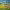 https://res.cloudinary.com/billionhands/image/upload/v1771507502/items/nrkd9tnbpilzgpgu3wjq.jpg-0cover