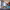 https://res.cloudinary.com/billionhands/image/upload/v1771507531/items/wrfivbusbodnyxqu7s4g.gif-3cover