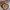 https://res.cloudinary.com/billionhands/image/upload/v1771507565/items/f7frndao5cuuuildgmmv.webp-3cover