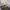 https://res.cloudinary.com/billionhands/image/upload/v1771507567/items/dvvgbeqdbjzkwfozkdj9.jpg-1cover