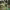 https://res.cloudinary.com/billionhands/image/upload/v1771507596/items/oicozzbdad89lvwasstx.jpg-0cover
