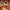 https://res.cloudinary.com/billionhands/image/upload/v1771507655/items/uiploz8dd55pa8r1jydw.jpg-0cover