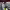 https://res.cloudinary.com/billionhands/image/upload/v1771507710/items/lvgwlcphjhuk9bv3mdw7.webp-2cover