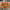 https://res.cloudinary.com/billionhands/image/upload/v1771507711/items/idchghq3qy6s42vmkaim.webp-3cover