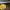 https://res.cloudinary.com/billionhands/image/upload/v1771507718/items/fwtfkf5prlmjfjxmtpv4.jpg-2cover