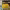 https://res.cloudinary.com/billionhands/image/upload/v1771507766/items/gnj8l2nnqd7zak29lzb9.jpg-3cover