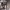 https://res.cloudinary.com/billionhands/image/upload/v1771507796/items/uie4lu2yt9lfdbxkgmue.jpg-2cover