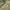 https://res.cloudinary.com/billionhands/image/upload/v1771507827/items/eczrwg0udoplzmtptzwh.jpg-2cover