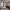https://res.cloudinary.com/billionhands/image/upload/v1771507833/items/fspcg7rlkqcqcf70mla7.jpg-2cover