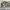 https://res.cloudinary.com/billionhands/image/upload/v1771507893/items/nh9tag3caniaza9tsxis.jpg-0cover
