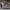 https://res.cloudinary.com/billionhands/image/upload/v1771507899/items/ceub3pg9tghdjectlmzx.jpg-3cover
