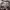 https://res.cloudinary.com/billionhands/image/upload/v1771507900/items/fopn3ypcyu5r50eacse7.jpg-2cover