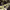 https://res.cloudinary.com/billionhands/image/upload/v1771507913/items/vnfbwwhjjkwk6zqiucu5.jpg-0cover