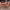 https://res.cloudinary.com/billionhands/image/upload/v1771507933/items/wrpwrakgvpslxkjiik1l.jpg-3cover