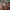 https://res.cloudinary.com/billionhands/image/upload/v1771507934/items/xdnpelnnbvyqqwymer5d.jpg-1cover