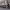 https://res.cloudinary.com/billionhands/image/upload/v1771512150/items/wi1eihaxl5wvhky2hock.jpg-2cover