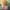 https://res.cloudinary.com/billionhands/image/upload/v1771512198/items/u2hr6z4ieqvxfo2emokn.jpg-3cover