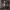 https://res.cloudinary.com/billionhands/image/upload/v1771512245/items/f7gkhbg0y8asmlb9f20u.jpg-0cover