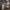 https://res.cloudinary.com/billionhands/image/upload/v1771512262/items/hfe48wxcunj7xzacdvuz.jpg-1cover