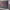 https://res.cloudinary.com/billionhands/image/upload/v1771512301/items/cmayichj9upwxtti0o8s.jpg-2cover
