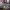 Where to watch football: Sport Bar La Gatera (Santander) cover