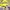 https://res.cloudinary.com/billionhands/image/upload/v1771512337/items/svliiabq77atzhn4ibdd.jpg-0cover
