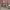 https://res.cloudinary.com/billionhands/image/upload/v1771512342/items/xgxi03tapmuwuolnwjuc.jpg-2cover