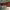 https://res.cloudinary.com/billionhands/image/upload/v1771512501/items/e5kx1fbtnntpkugvtqro.jpg-0cover