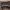 https://res.cloudinary.com/billionhands/image/upload/v1771512508/items/zusmbsneo7yi93uodxk4.jpg-1cover