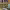 https://res.cloudinary.com/billionhands/image/upload/v1771512517/items/mtk4dzxccgb6en6hvtht.jpg-0cover