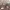 https://res.cloudinary.com/billionhands/image/upload/v1771512557/items/kbgdtqecv3thcvoptswx.webp-0cover