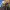 https://res.cloudinary.com/billionhands/image/upload/v1771512562/items/cqspy0gfowlc1umfzriw.webp-3cover